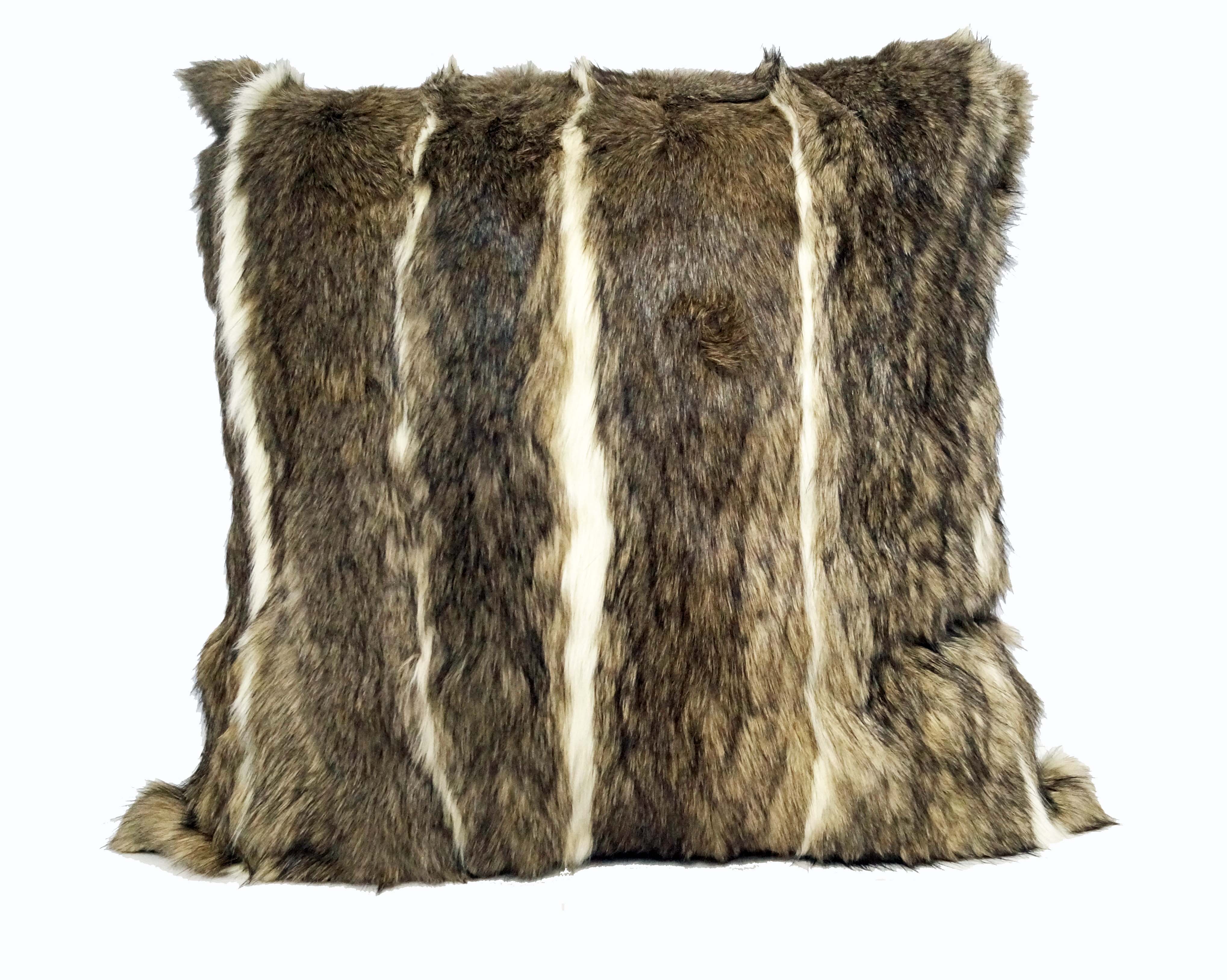 Vizcacha Pillow